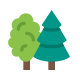 Nature & Seasonal